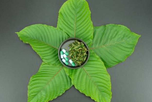kratom How safe is kratom
